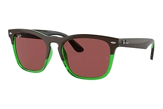 Vue de face Ray-Ban STEVE (RB4487 - 663469)