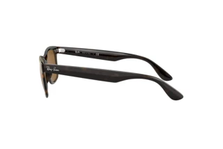 Vue latérale Ray-Ban RB4640 (710/33)
