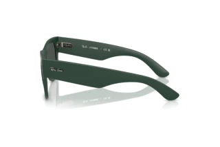 Vue latérale Ray-Ban RB4840S (665787)