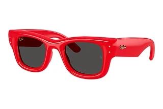 Ray-Ban RB4940 683187 Dark GreyRed