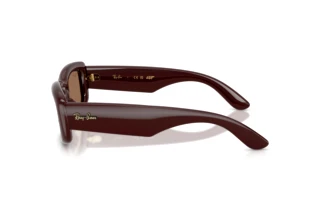 Vue latérale Ray-Ban RB4944 (687773)
