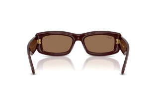 Vue arrière Ray-Ban RB4944 (687773)