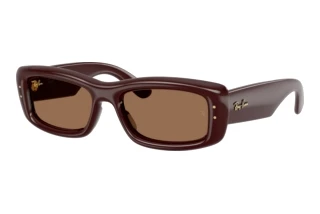 Vue de face Ray-Ban RB4944 (687773)