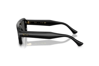 Vue latérale Ray-Ban RB4954 (601/87)