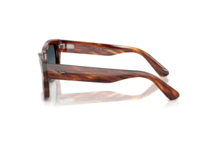 Vue latérale Ray-Ban JOSEPH (RB7683S - 954/S3)