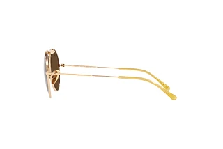 Vue latérale Ray-Ban RB8063 (9205AN)