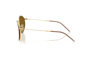 Vue latérale Ray-Ban ROUND REVERSE (RBR0103S - 001/83)