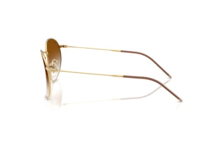 Vue latérale Ray-Ban ROUND REVERSE (RBR0103S - 001/CB)