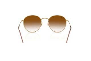 Vue arrière Ray-Ban ROUND REVERSE (RBR0103S - 001/CB)