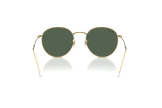 Vue arrière Ray-Ban ROUND REVERSE (RBR0103S - 001/VR)