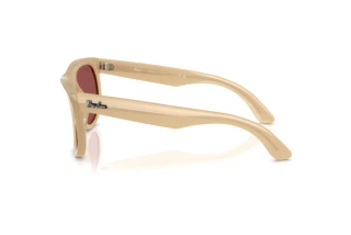 Vue latérale Ray-Ban WAYFARER REVERSE (RBR0502S - 678069)