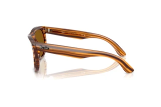 Vue latérale Ray-Ban WAYFARER REVERSE (RBR0502S - 679183)