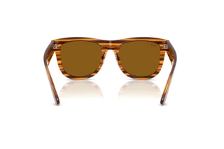 Vue arrière Ray-Ban WAYFARER REVERSE (RBR0502S - 679183)