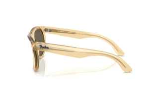 Vue latérale Ray-Ban WAYFARER REVERSE (RBR0502S - 68215A)