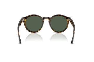 Vue arrière Ray-Ban RBR0505S (6790VR)