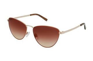 Rocco by Rodenstock RR106 D rose, rose gold
