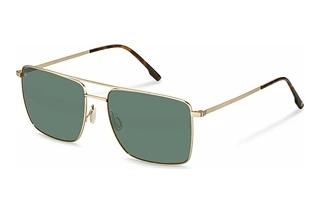 Rodenstock R1448 C150 GREENgold, havana