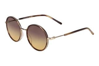 Scotch and Soda 507015 107 Braun