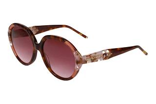 Scotch and Soda 507023 151 Braun