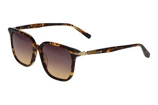 Scotch and Soda 507032 102