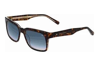 Scotch and Soda 508017 102 Braun