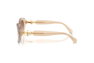 Vue latérale Swarovski SK6002 (103413)