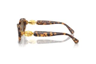 Vue latérale Swarovski SK6002 (104073)