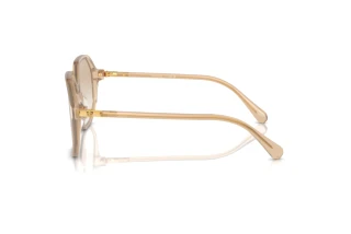 Vue latérale Swarovski SK6003 (103411)