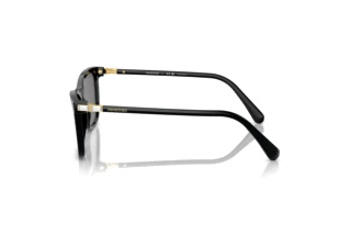 Vue latérale Swarovski SK6004 (100181)