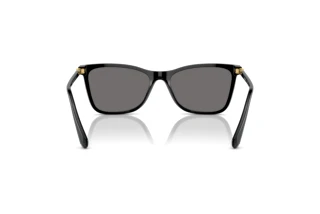 Vue arrière Swarovski SK6004 (100181)