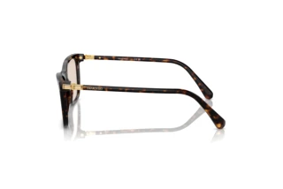 Vue latérale Swarovski SK6004 (1002M4)