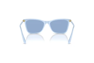 Vue arrière Swarovski SK6004 (10061U)