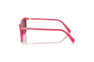 Vue latérale Swarovski SK6004 (103687)