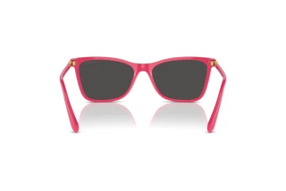 Vue arrière Swarovski SK6004 (103687)