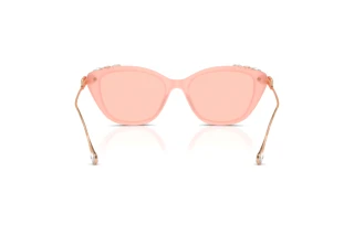 Vue arrière Swarovski SK6010 (1041/5)