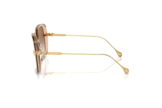 Vue latérale Swarovski SK6011 (103413)