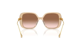 Vue arrière Swarovski SK6011 (103413)