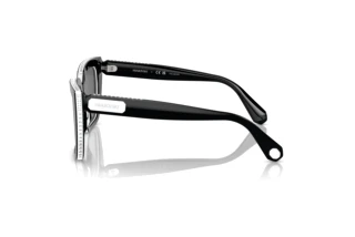 Vue latérale Swarovski SK6013 (101581)