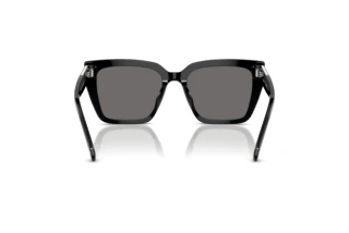 Vue arrière Swarovski SK6013 (101581)