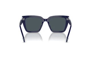 Vue arrière Swarovski SK6013 (101887)