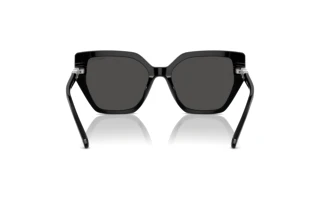 Vue arrière Swarovski SK6016 (100187)