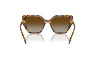 Vue arrière Swarovski SK6016 (1004T5)