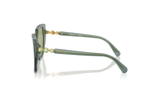 Vue latérale Swarovski SK6016 (104382)