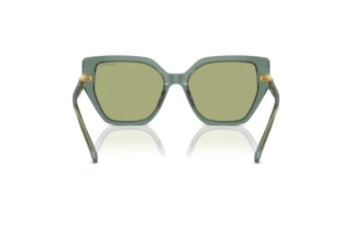 Vue arrière Swarovski SK6016 (104382)