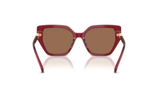 Vue arrière Swarovski SK6016 (105573)