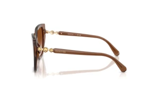 Vue latérale Swarovski SK6016 (106713)