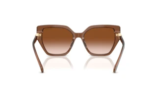 Vue arrière Swarovski SK6016 (106713)