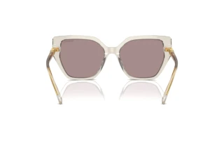 Vue arrière Swarovski SK6016 (3003LA)