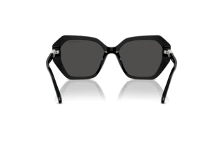 Vue arrière Swarovski SK6017 (100187)