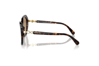 Vue latérale Swarovski SK6017 (1002M4)